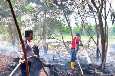 Polisi Mendalami Hasil Investigasi Kebakaran Lahan 5 Hektare di Kubu Raya Kalbar - JPNN.com