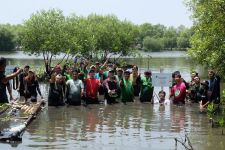 AEON Indonesia Tanam 500 Pohon Bakau di Pantai Tanjung Pasir - JPNN.com