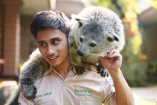 Prihatin Kondisi Medan Zoo, Adik Raffi Ahmad Serahkan Donasi Suplemen Karnivora - JPNN.com Sumut