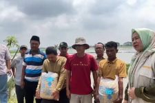 Ketua KTNA Desa Sukakarya Bekasi: Bantuan Benih Kementan Bagus & Berkualitas - JPNN.com