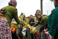 Pernikahan Anjing dengan Adat Jawa Dikecam Pejabat Pemprov DIY - JPNN.com Jogja