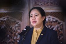 Puan Absen di Sidang DPR yang Batal Mengesahkan RUU Pilkada, Ternyata Lagi di Hungaria - JPNN.com