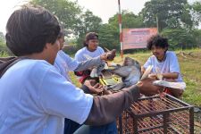 Pemuda Mahasiswa Dukung Ganjar Dirikan Fasilitas Merpati Kolong di Tangerang - JPNN.com