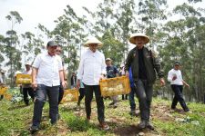 Anies Gemakan Pupuk Murah & Lahan Negara bagi Petani Saat Panen Kol di Pangalengan Bandung - JPNN.com Jabar
