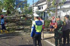Dua Pengendara Motor di Malang Tewas Tertimpa Pohon Tumbang - JPNN.com