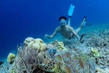 Humprey Afrianto Mengaku Ketagihan Freediving: Indonesia Itu Surganya Bawah Laut - JPNN.com