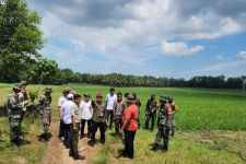 Kementan Gandeng TNI AD untuk Wujudkan Lampung Menjadi Sentra Produksi Beras Nasional - JPNN.com