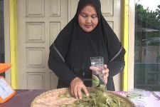 Kerupuk Ikan Daun Kelor Enak dan Bernutrisi Asli Palembang, Yuk, Cobain - JPNN.com