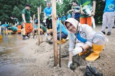 Weda Bay Project Tanam Satu Juta Mangrove di Maluku Utara - JPNN.com