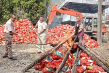 21 Ton Bawang Bombay Ilegal Dimusnahkan Polda Riau - JPNN.com