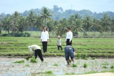 Presiden Jokowi Tinjau Pompanisasi Sawah Tadah Hujan di Bone, Petani Ucap Syukur - JPNN.com