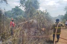 Satu Hektare Lahan Kering di Belitung Terbakar - JPNN.com