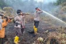 Tim Gabungan Masih Berjibaku Memadamkan Karhutla di Pulau Galang Inhu - JPNN.com