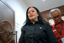 Ada Pembicaraan Megawati dengan BG yang Jadi Menko di Kabinet Prabowo? Begini Kata Puan - JPNN.com