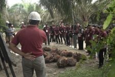 Siapkan SDM Berkualitas, BPDPKS Gelar Pelatihan untuk Petani Kelapa Sawit - JPNN.com