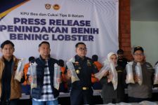 Bea Cukai Gagalkan Penyelundupan Ratusan Ribu Benih Lobster Tujuan Malaysia - JPNN.com