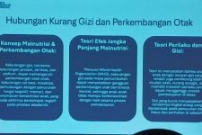 Asupan Gizi Cukup Cegah Anak Kurangi Risiko Working Memory Rendah - JPNN.com