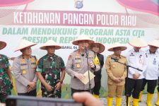 Polda Riau-TNI Luncurkan Program Ketahanan Pangan, Masyarakat Dapat Manfaat - JPNN.com