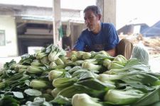 Petani Kecil Mulai Rasakan Efek Gerakan Boikot Restoran Waralaba yang Dianggap Terafiliasi Israel - JPNN.com