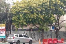 Renovasi Rumah di Menteng Tetap Jalan Meski Tebang Pohon Tanpa Izin - JPNN.com