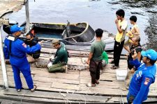 Buaya Muara 2,5 Meter di Pulau Hanaut Dievakuasi BKSDA Sampit - JPNN.com