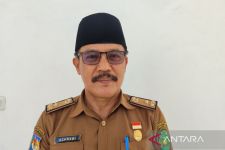 Pendaftaran PPPK 2024 Tahap II Diperpanjang, Achrawi Sampaikan Imbauan Ini untuk Kepala OPD - JPNN.com