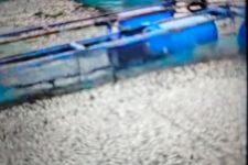 75 Ton Ikan Mati di Danau Maninjau Akibat Angin Kencang - JPNN.com