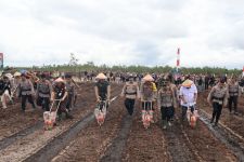 Polda Kalteng Tanam Jagung di Lahan 1.200 Hektare Untuk Dukung Asta Cita - JPNN.com