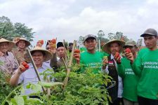 Pertanian Hortikultura Itikurih di Garut Tumbuhkan Ekonomi Mandiri Masyarakat - JPNN.com