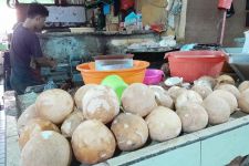 Pasokan Kelapa Menipis, Pedagang di Jakarta Terimpit Kenaikan Harga - JPNN.com