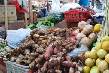 6 Teknik Pengeringan Herbal yang Benar untuk Mendapatkan Hasil Maksimal - JPNN.com