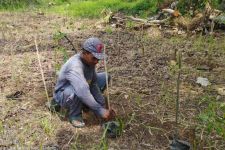 Program Hutan Energi, Paiton Energy Tanam 25 Ribu Bibit Pohon Gamal - JPNN.com