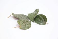 5 Herbal Terbaik untuk Mengencangkan Rahim Setelah Persalinan Secara Alami - JPNN.com