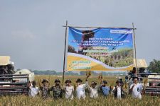 Bulog Terapkan Teknologi Biostimulan, Produksi Padi di Karawang Naik 2 Kali Lipat - JPNN.com