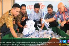 Rangsang Penjualan, Apollo Gelar Undian - JPNN.com