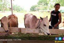 Ini Bahaya Membungkus Daging Kurban dengan Plastik Hitam - JPNN.com