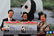 Tanda Persahabatan, Tiongkok Datangkan Panda ke Indonesia - JPNN.com