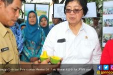 Mangga Unik dari Petani untuk Menteri Siti - JPNN.com