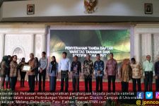 Pemulia Varietas Tanaman Dapat Penghargaan dari Kementan - JPNN.com