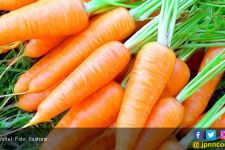 Kolesterol Jahat Bakalan Ambyar dengan Rutin Mengonsumsi 5 Sayuran Ini - JPNN.com