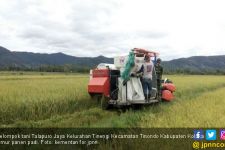 452 Hektare Sawah di Tinondo Kolaka Timur Siap Panen - JPNN.com