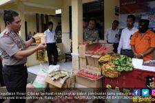 Pabrik Jamu Palsu Omzet Rp 300 Juta, Ada Obat Perangsang - JPNN.com