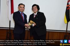 Menteri Siti Gelar Pertemuan dengan Delegasi Empat Negara - JPNN.com