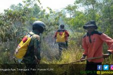 Manggala Agni Tinanggea Amankan Bandara dari Asap Karhutla - JPNN.com