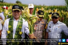 Replanting Sawit dan Jagung Fokus Kementan di Sulbar - JPNN.com