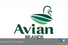 Avian Brands, Tawarkan 10 Persen Saham Melalui IPO - JPNN.com