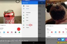 Google Lens Rilis Fitur Shortcut Permudah Cari Album Foto - JPNN.com