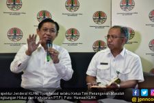 Masalah Lingkungan Freeport Sudah Ada Roadmap Penyelesaian - JPNN.com