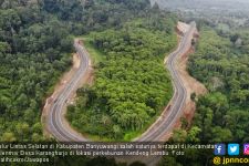 Sensasi Mudik Lewat Jalur Lintas Selatan dari Surabaya Hingga Pacitan - JPNN.com