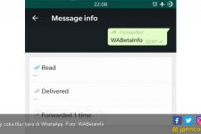 WhatsApp Uji Fitur Informasi Pesan Terusan - JPNN.com